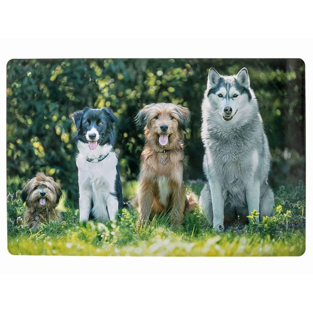 Pvc Placemat (Furry Pals) - Set of 12 - Walmart.ca