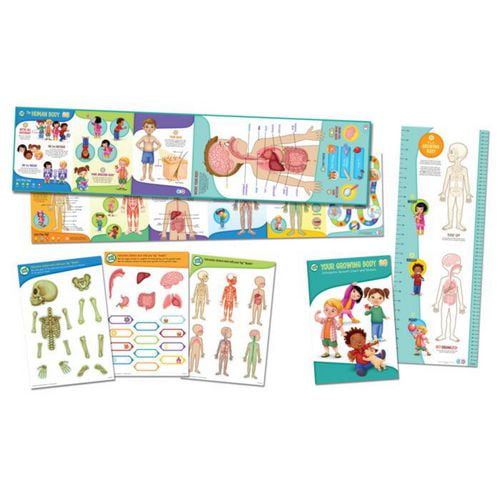 LeapFrog Tag™ Interactive Human Body Discovery Pack - English 