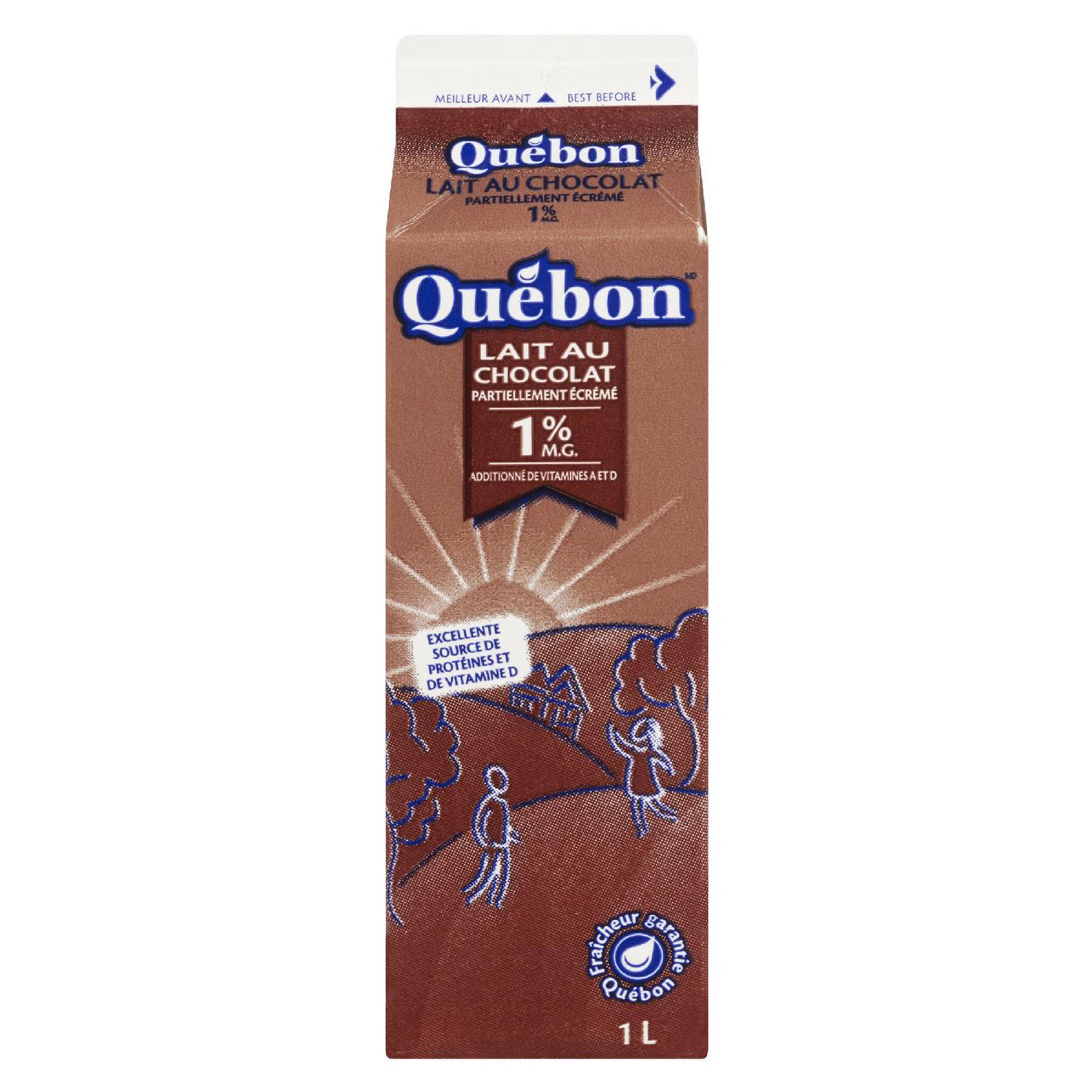 Québon Chocolate Partly Skimmed 1 Milk Walmart Canada
