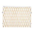 thumbnail image 1 of Barrière de sécurité extensible, 1 of 1
