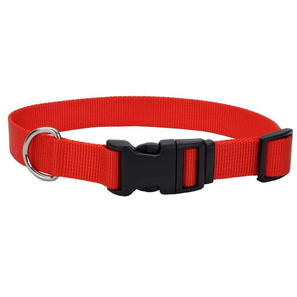 Pet Attire By Coastal Collier réglable pour chien avec boucle en plastique, rouge, 3/8" x 8" - 12" 3/8" x 8"-12"
