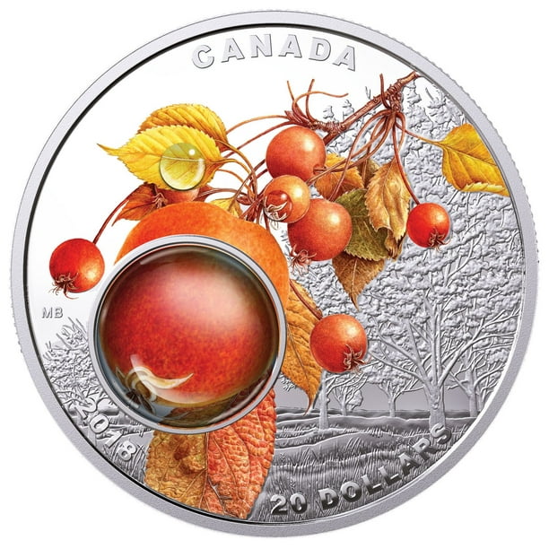 Pièce en argent - Sous la loupe de Dame Nature : Rosée du matin de La Monnaie royale canadienne