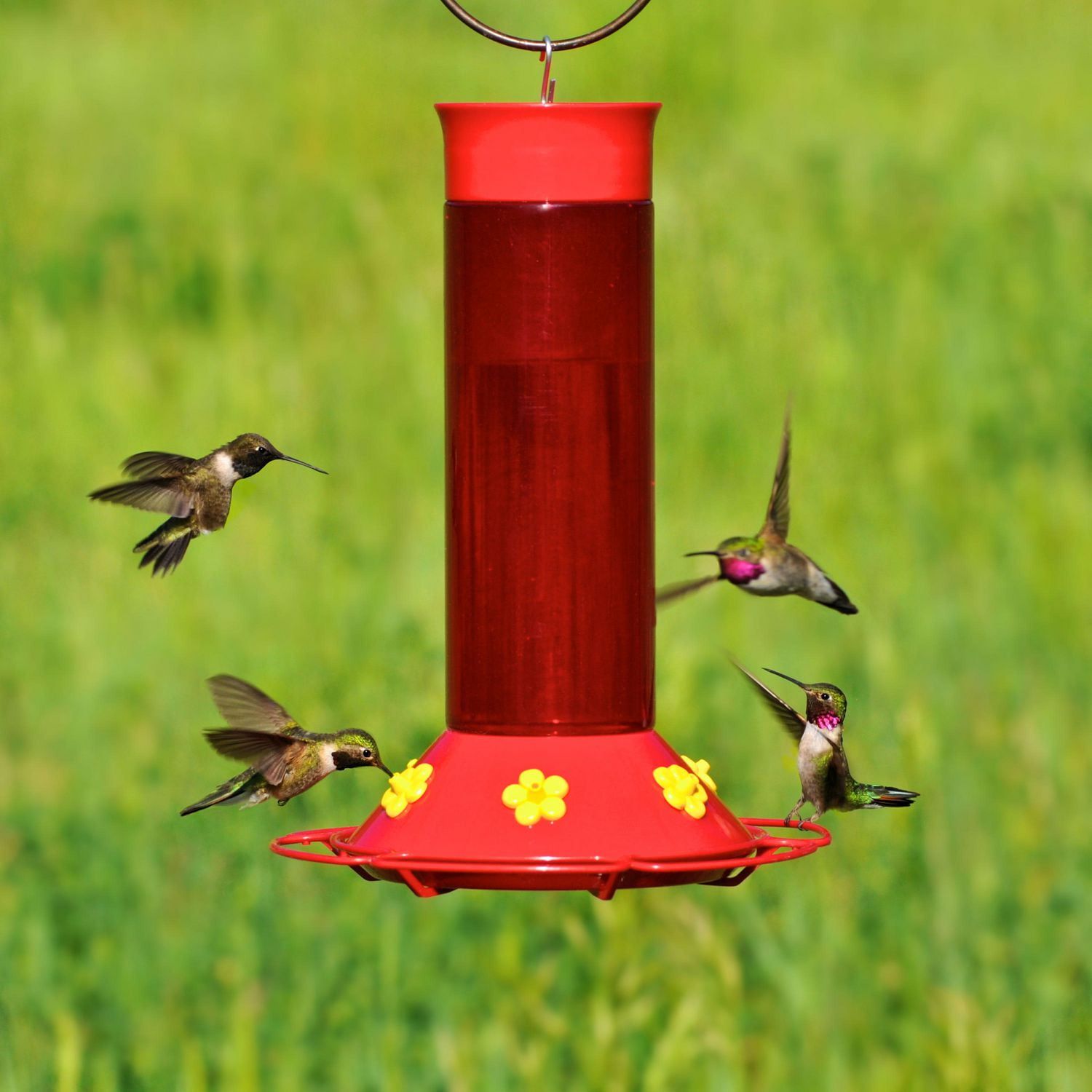 Perky Pet Best Plastic Hummingbird Feeder Walmart Canada