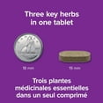 thumbnail image 4 of Webber Naturals Ultra stimulant de Testostérone, 4 of 8