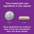 thumbnail image 4 of Webber Naturals Super NEM plus Collagène UC-II, 4 of 8