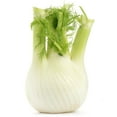 thumbnail image 1 of Fenouil Vendu individuellement, 1 of 1