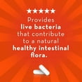 thumbnail image 4 of Align Probiotic Supplement, 4 of 9