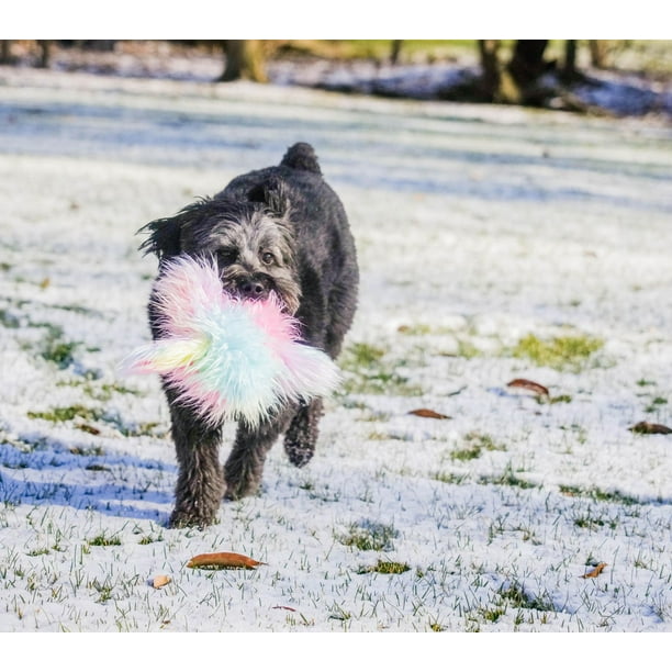 Multipet Plush Dog Toys, Shaggy Rainbow Yeti Dog Toy with Squeaker