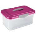 thumbnail image 1 of Boîte de rangement ShowOffs de Sterilite en rose, 1 of 1