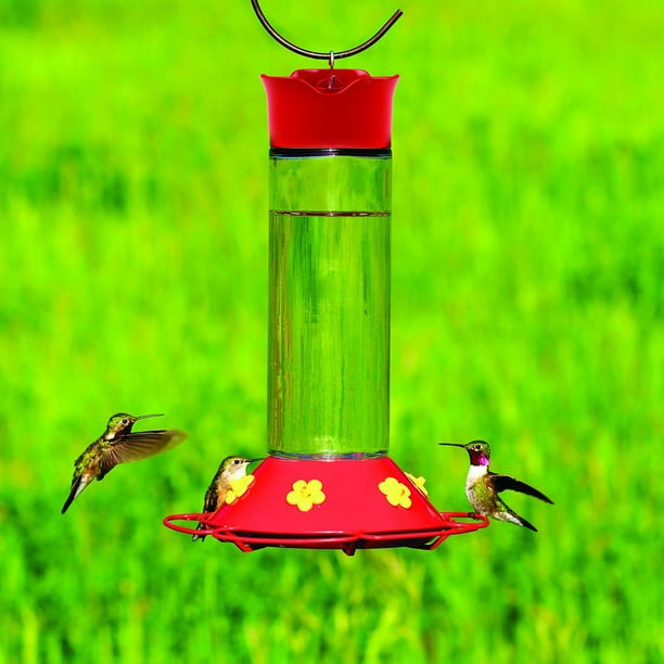 Mangeoire à colibri en verre taille pincée Perky Pet, 8 oz