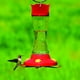 Mangeoire à colibris en verre pincé à la taille, 16 onces, de Perky-Pet – image 2 sur 6