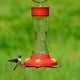 Mangeoire à colibris en verre pincé à la taille, 16 onces, de Perky-Pet – image 5 sur 6