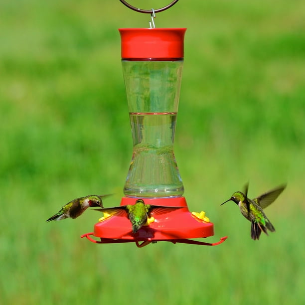 Abreuvoir à colibri anti guêpes