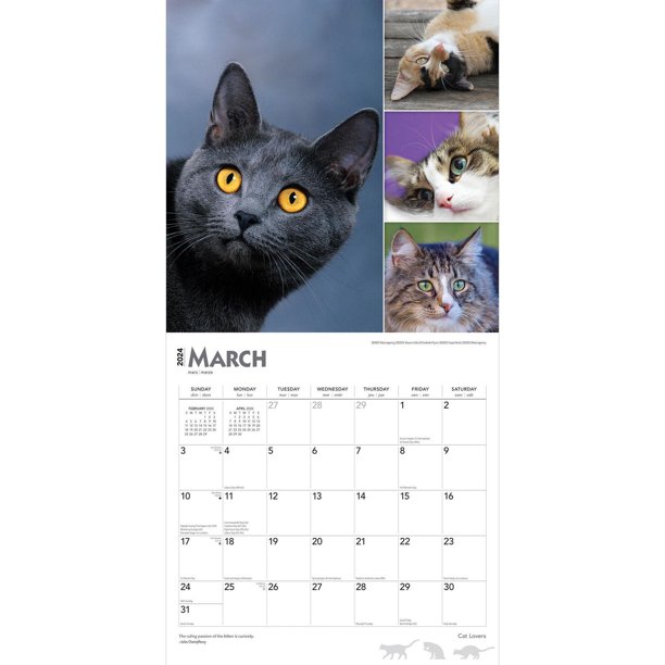 Desk Calendar 2024-2025,Jan 2024- Jun 2025, 18 Months Calendar, 17 x 12  Large Wall Calendar 2024 with Use for Home or Office 