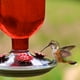 Perky-Pet Red Antique Bottle Hummingbird Feeder - image 3 of 7