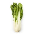 thumbnail image 1 of Bok Choy, Sold in bunches, 0.09 - 1.39 KG, 1 of 1