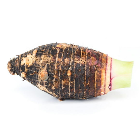 Taro Root, Small, Sold in singles, 0.06 - 0.17 KG