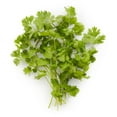 thumbnail image 1 of Coriandre Vendu en botte, 1 of 1