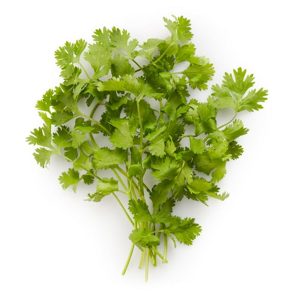 Cilantro, Sold in bunches