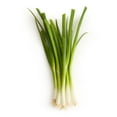 thumbnail image 1 of Green Onion, Sold in bunches, 1 of 1