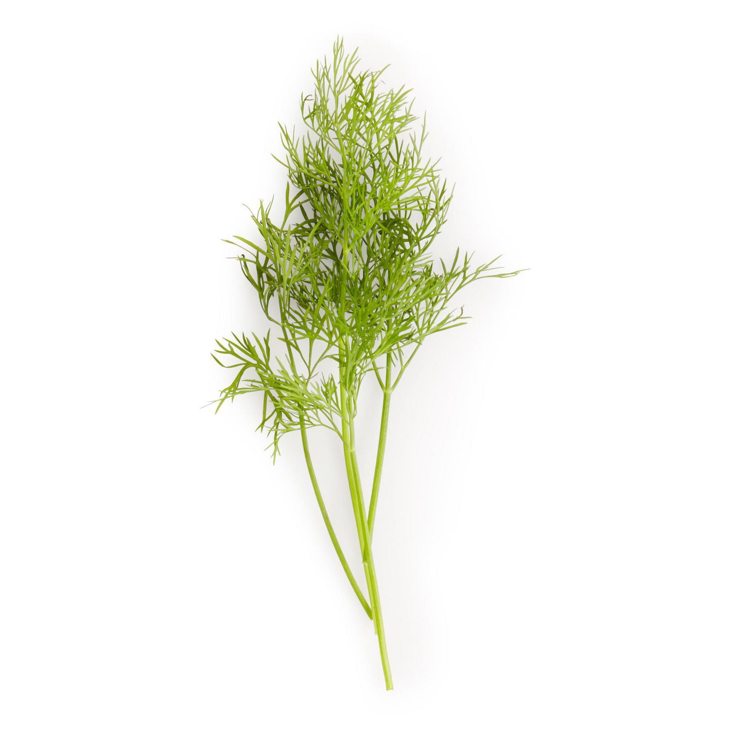 Buy Fresh Dill Online Walmart Canada