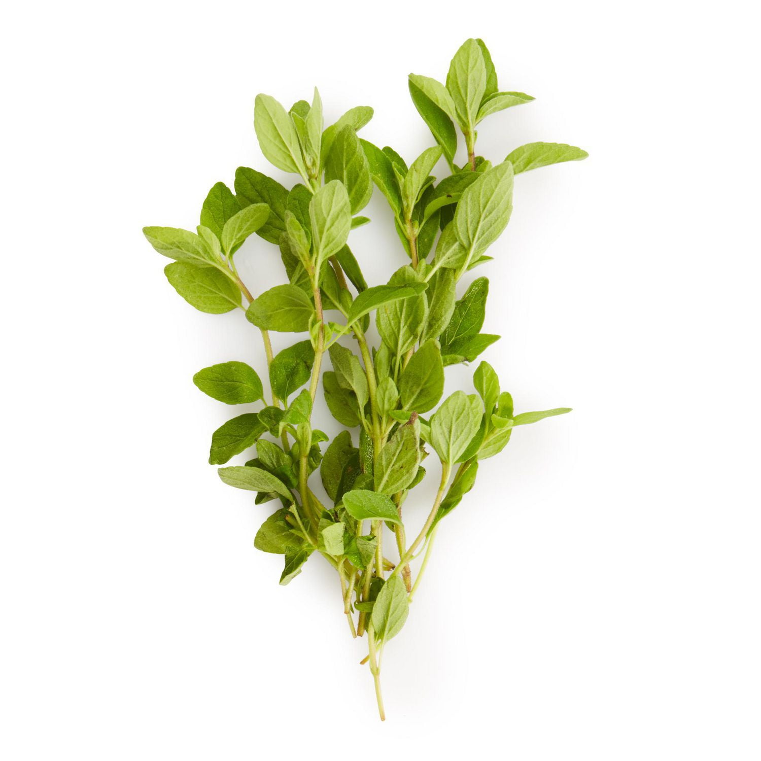 Buy Fresh Oregano Online Walmart Canada