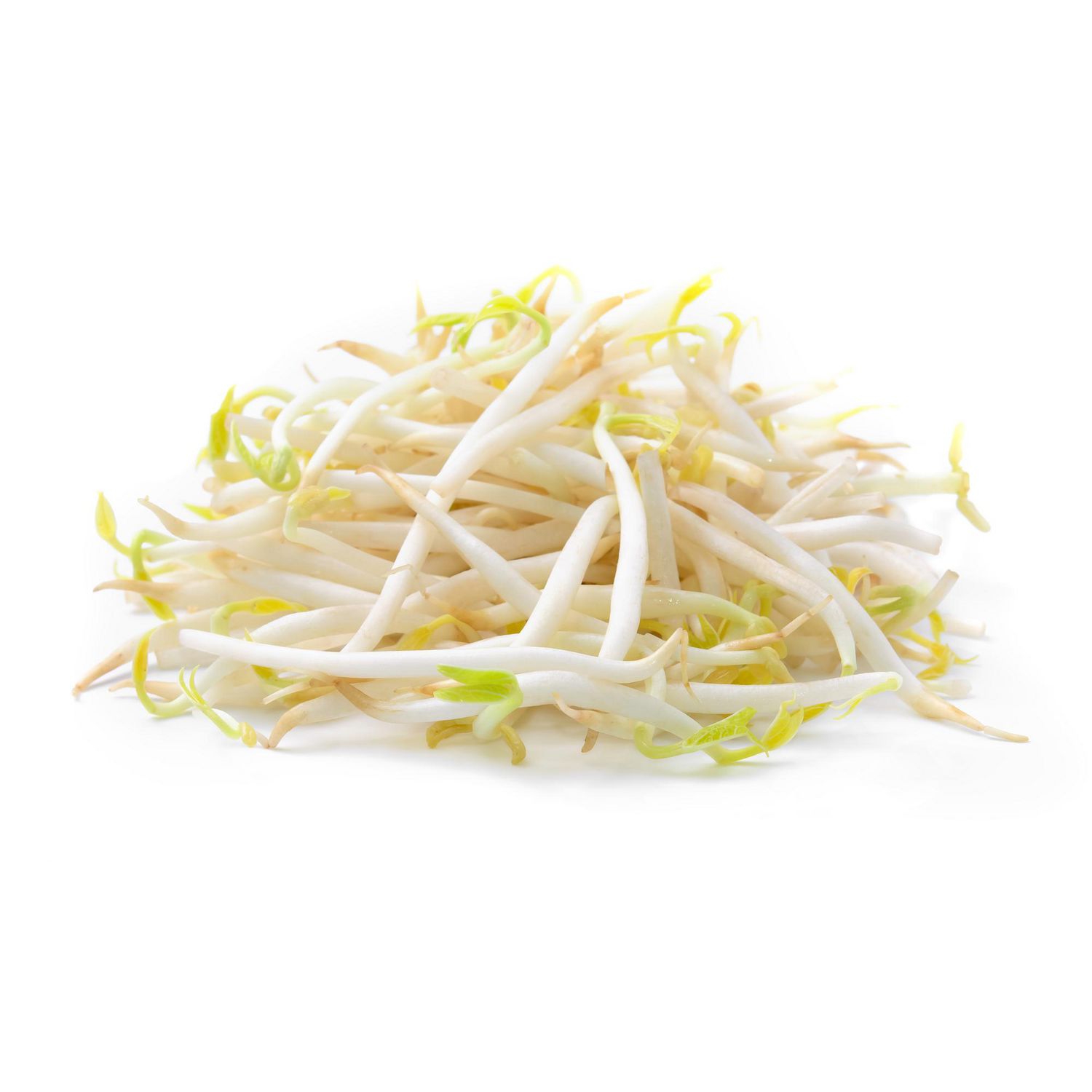 Germes de Haricots, Gros Plan de 1 lb de Germes de Haricots en Vrac Orientés vers l'Avant avec de Fines Tiges Blanches, des Pointes Jaune-Vert Pâle et des Extrémités de Racines Parées sur un Fond Neutre. Convient comme Garniture Croustillante pour Salade et pour Soupe de Nouilles.