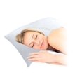 thumbnail image 1 of Emson Bamboo Magic Queen Size Pillow Cover, 1 of 1