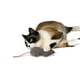 Grand jouet à l'herbe à chat en forme de souris de SmartyKat – image 1 sur 4