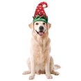 thumbnail image 1 of Chapeau de lutin pour chiens, 1 of 1