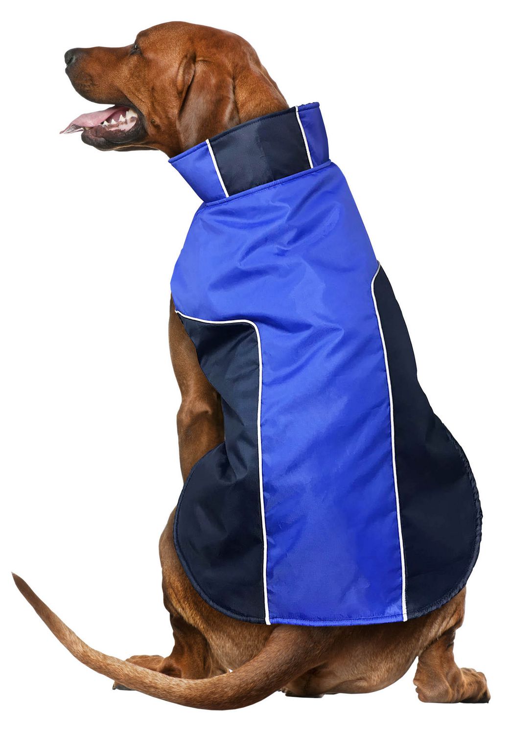 Blue Dog Vest Walmart Canada