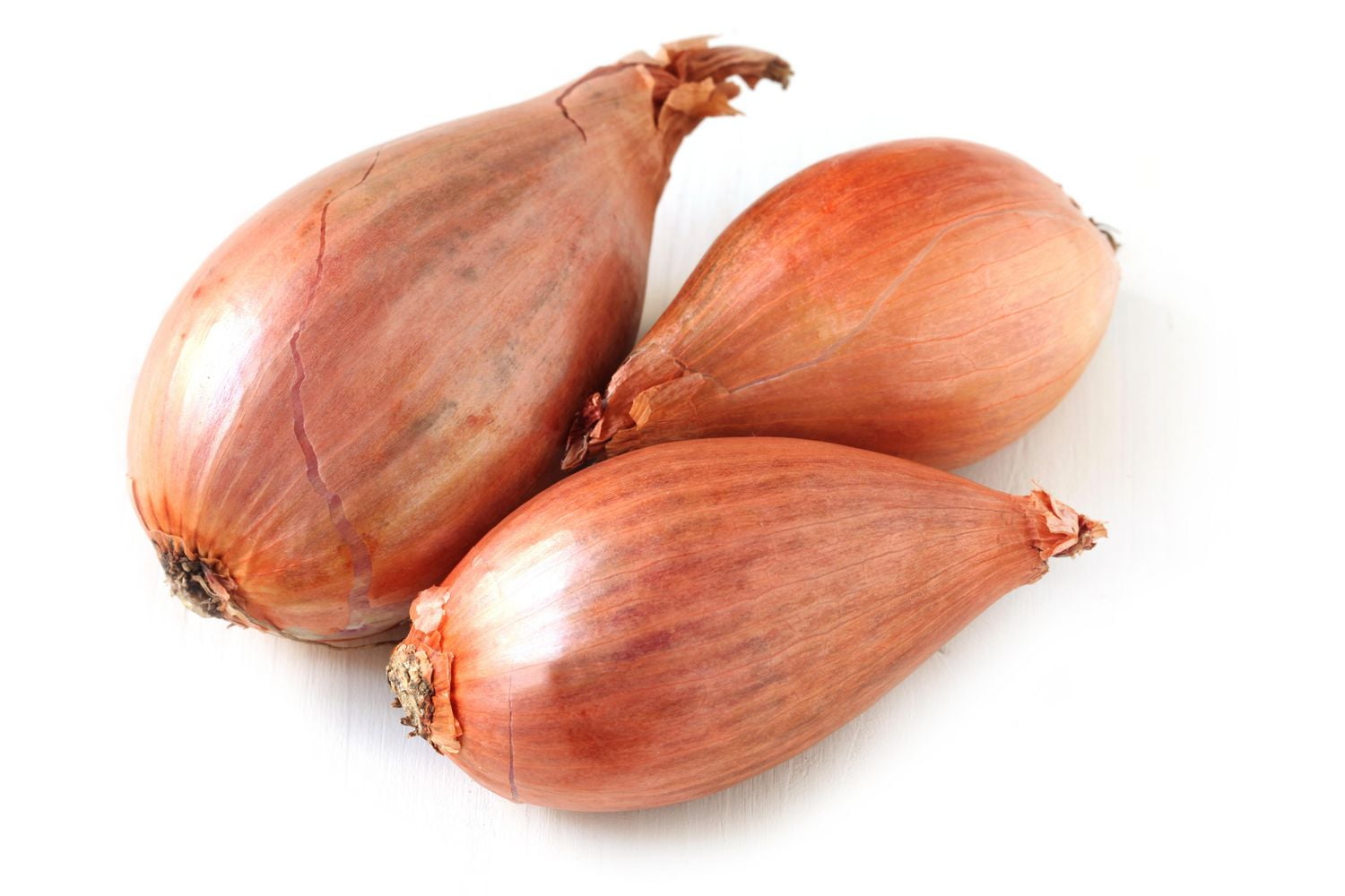 Shallots
