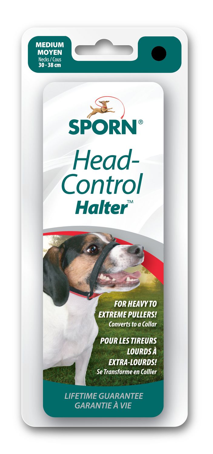 Head control 2025 dog halter