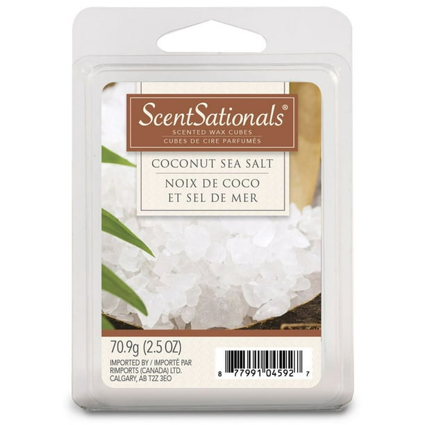 Cubes de cire parfumés « noix de coco et sel de mer » de ScentSationals