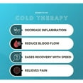 thumbnail image 4 of Spray de soulagement de la douleur glacé à force maximale Deep Relief, réduit l'inflammation, 4 of 6