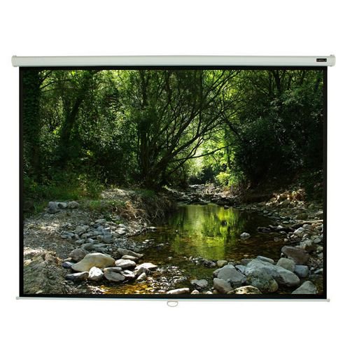 Elunevision Projector EluneVision Triton Manual PullDown Projector Screen - Walmart.ca