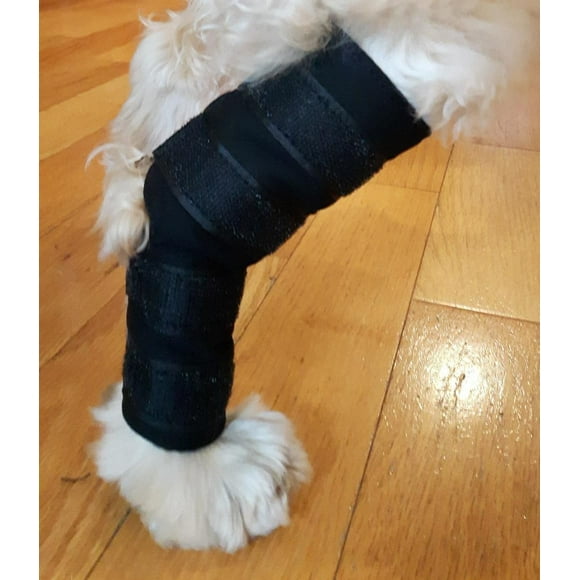 Vet Therapy Therapeutic Small Fir Hock Support