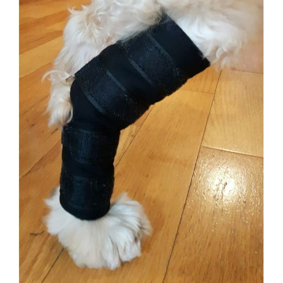 Vet Therapy Therapeutic Large Fir Hock Support