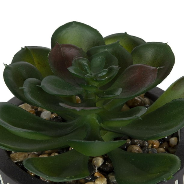 Plante grasse artificielle Gwinnett dans pot avec motif