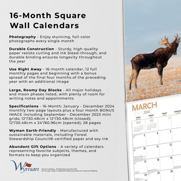 9781525611711 Can Geo Moose 2024 Wall Calendar Wyman Publishing - Calendar  Club