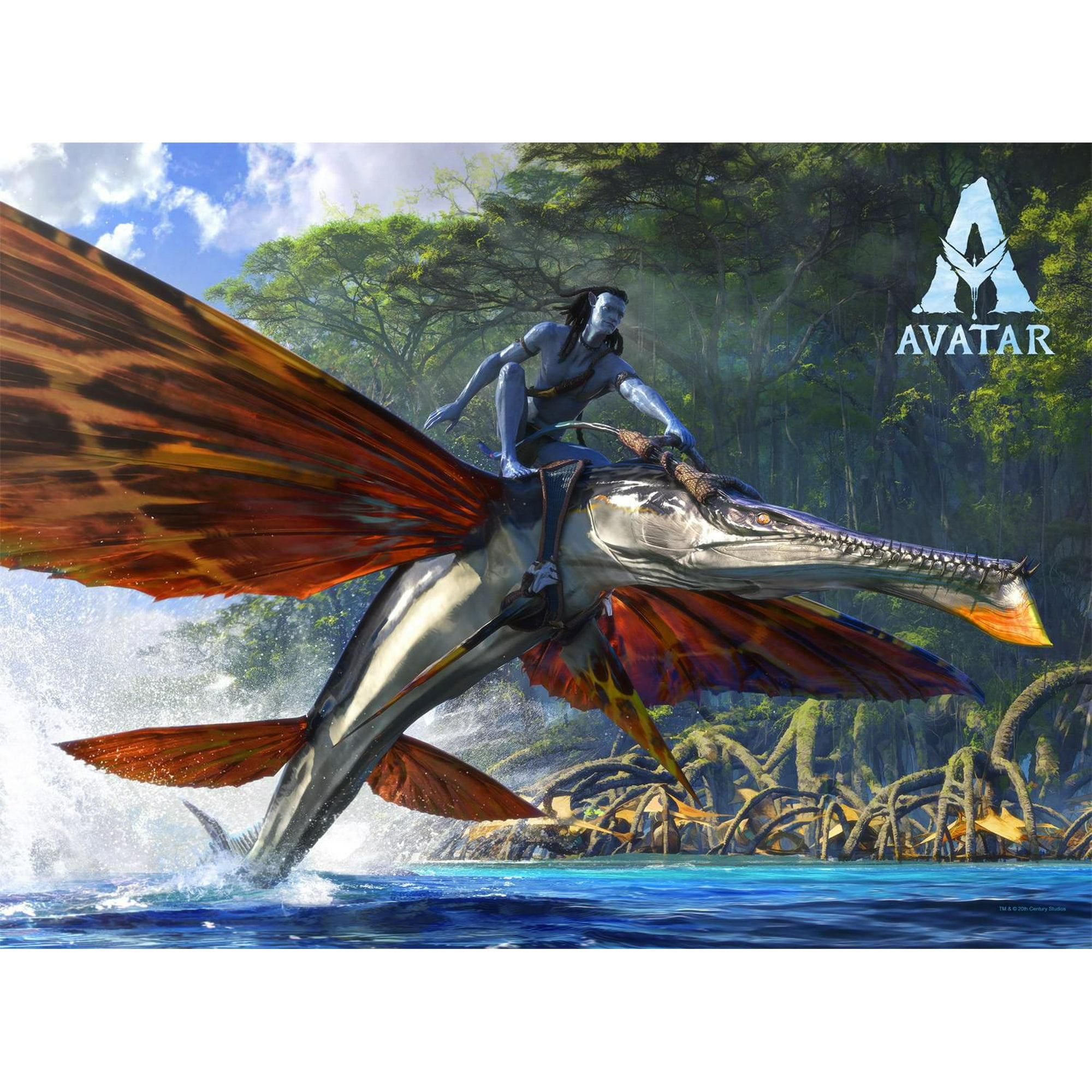 Buffalo Games - Avatar - Skimwing Rider - 1000 Piece Jigsaw Puzzle -  Walmart.ca