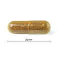 thumbnail image 2 of Jamieson Tart Cherry with Turmeric Capsules, 500 mg, 30 Count, 2 of 8