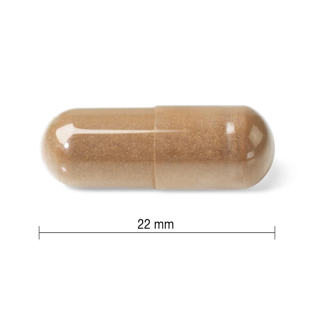 Jamieson Capsules de Complexe de Champignons 60 gélules
