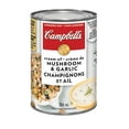 thumbnail image 1 of Campbell's Cream of Mushroom & Garlic Condensed Soup, 1 of 1
