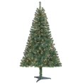 thumbnail image 1 of 6Ft Pioneer Green Tree With Clear Lights, 1 of 1