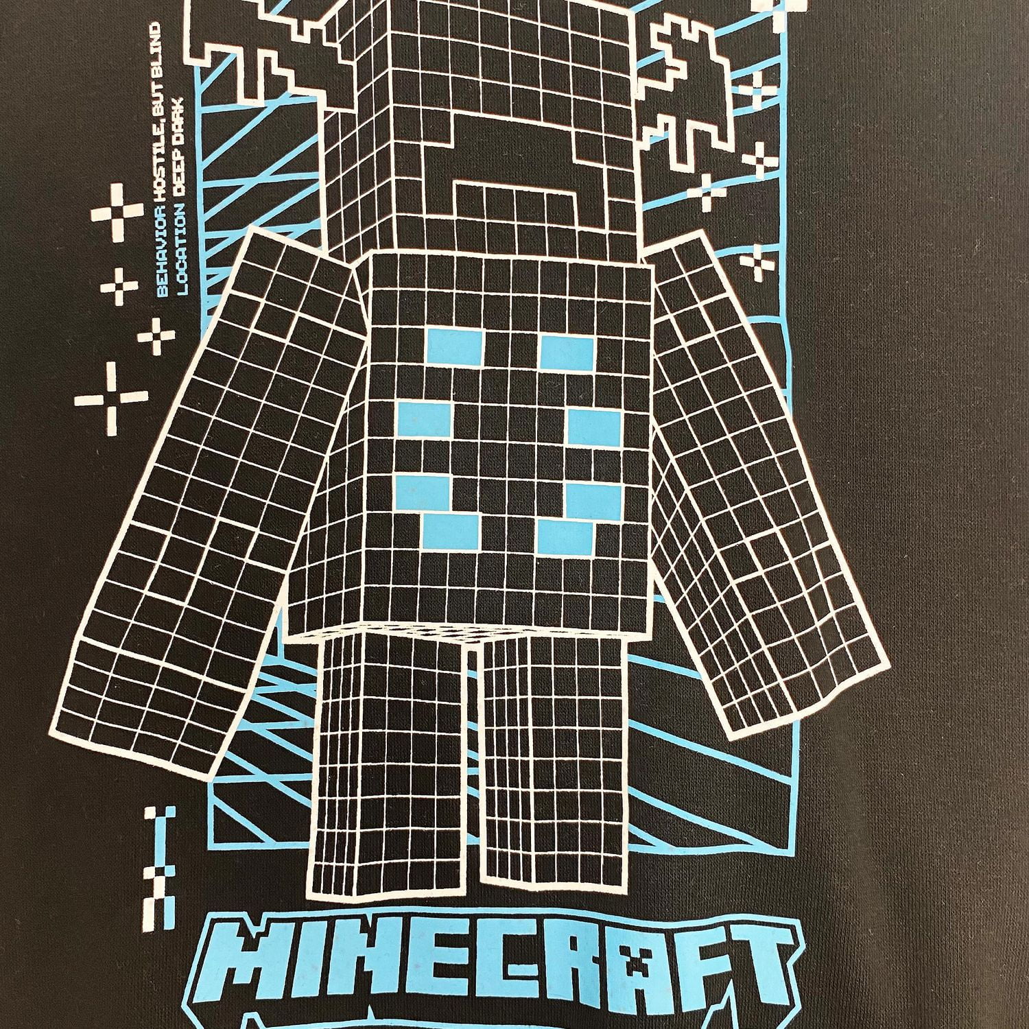 Minecraft Boys Warden Specs Long Sleeve Hoodie, Sizes: XS-XL