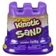 Kinetic Sand - Boîte 1 couleur - 5 oz (141 g) - Violet – image 1 sur 2