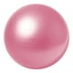 Ballon de stabilité professionnel Everlast de 65 cm – image 3 sur 3