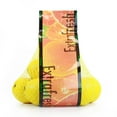 thumbnail image 1 of Lemon, 1 of 1