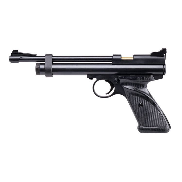 CO2 .22 Bolt action pistol | Walmart Canada